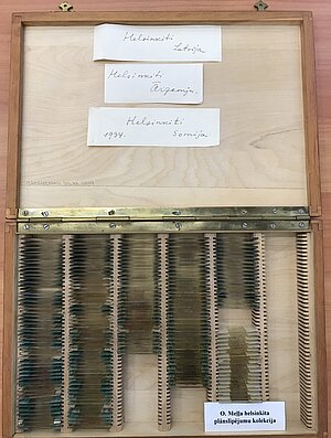Otto Meļļa iežu plānslīpējumu kolekcija, kas izmantota veicot helsinkīta pētījumus 20.gs. trīsdesmitajos gados. LUM Ģeoloģijas kolekciju krājums. Foto: Vija Hodireva
