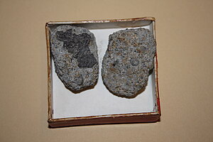 Bjurboles meteorīta gabali Frīdriha Candera un Latvijas astronomijas kolekcijā. Foto: Gunta Vilka