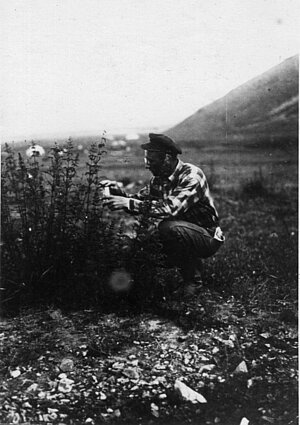 Jānis Lūsis 1931. gadā, Mongolijā, ievācot mārītes. Foto: LU Muzeja krājums