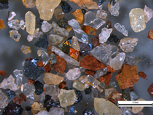 Atšķirīgu smago minerālu graudi smilšainos nogulumos (mikroskopfoto uzņemts ĢZZF laboratorijā, autori: V.Visocka, V.Hodireva).
