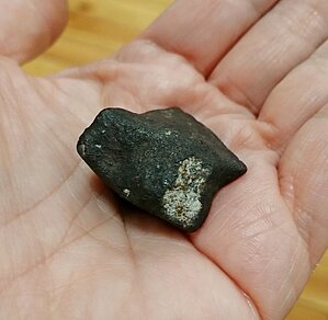 Meteorīts Migejs Frīdriha Candera un Latvijas astronomijas kolekcijā. Foto: Gunta Vilka