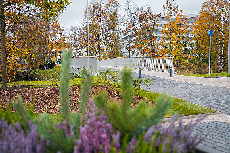 Aicina piedalīties rudens zibakcijā "Viena diena Latvijā"