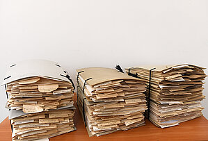 Neliela daļa no E. Vimbas sēņu herbārija mapēm. Foto: LU Muzeja krājums, Sarmīte Livdāne 21.10.2025