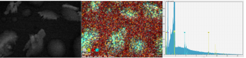 WTe2 nanostruktūras uz Si/SiO2 pamatnes, EDX kartēšana skenējošajā elektronu mikroskopā (A. Terehovs, sintēze 02.08.2022). Skala SEM attēlā pa kreisi sakrīt ar norādīto elementu kartēšanas attēlā centrā – 1 mm.