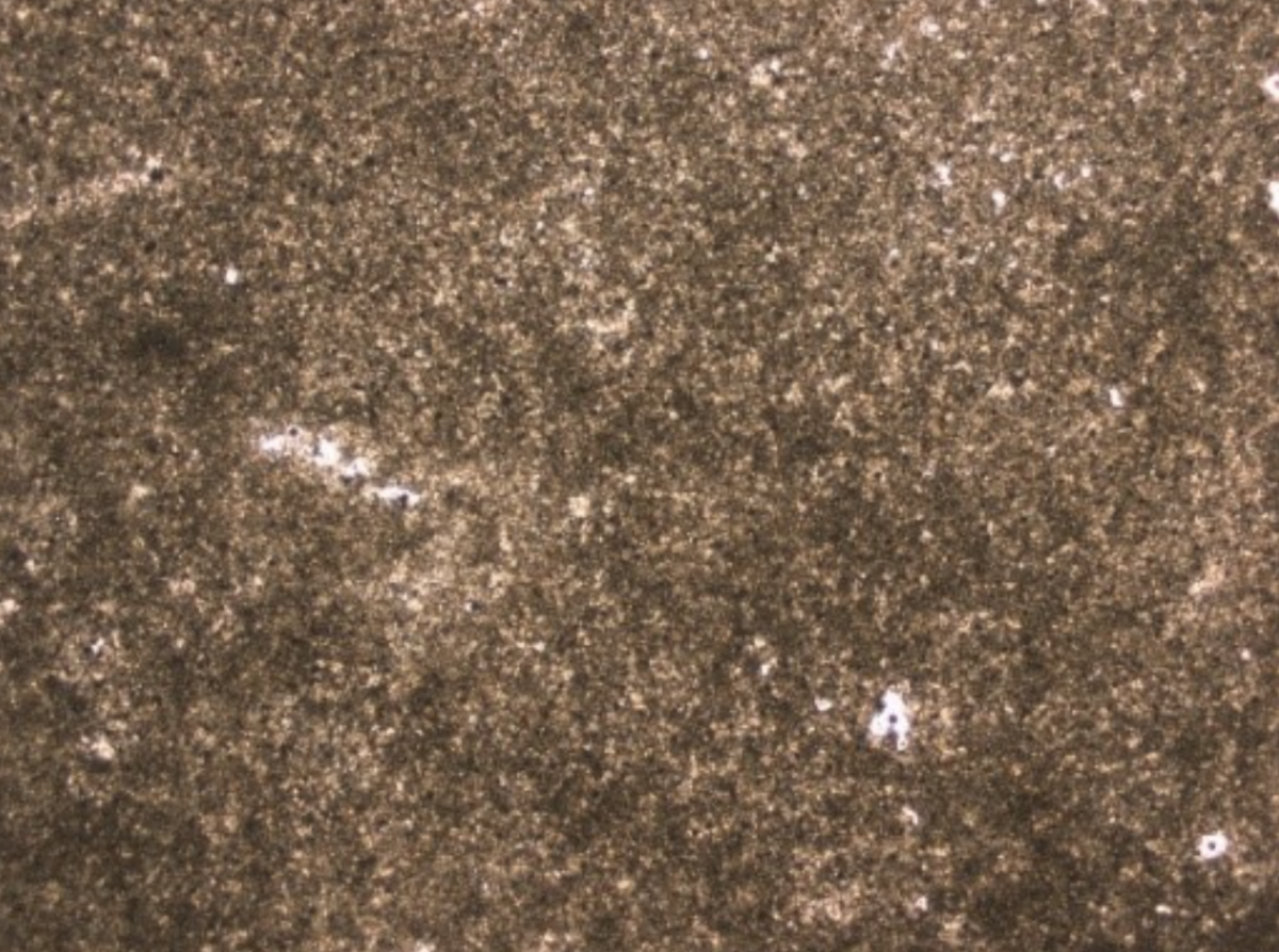 7. att. Rīgas Doma baznīcas S4 pilastra pamatnes un senās sienas dolomīta parauga (3DP) plānslīpējuma fotogrāfija (mikrogrāfija mikroskopā). Mērogs: fotogrāfijā redzamā garākā mala ir 5 mm. Foto V. Hodireva 7. att. Rīgas Doma baznīcas S4 pilastra pamatnes un senās sienas dolomīta parauga (3DP) plānslīpējuma fotogrāfija (mikrogrāfija mikroskopā). Mērogs: fotogrāfijā redzamā garākā mala ir 5 mm. Foto V. Hodireva