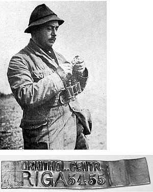 Nikolajs Tranzē gredzenojot putnu 1920-to gadu otrajā pusē. Apakšā Latvijas Ornitoloģijas centrāles putnu gredzens.