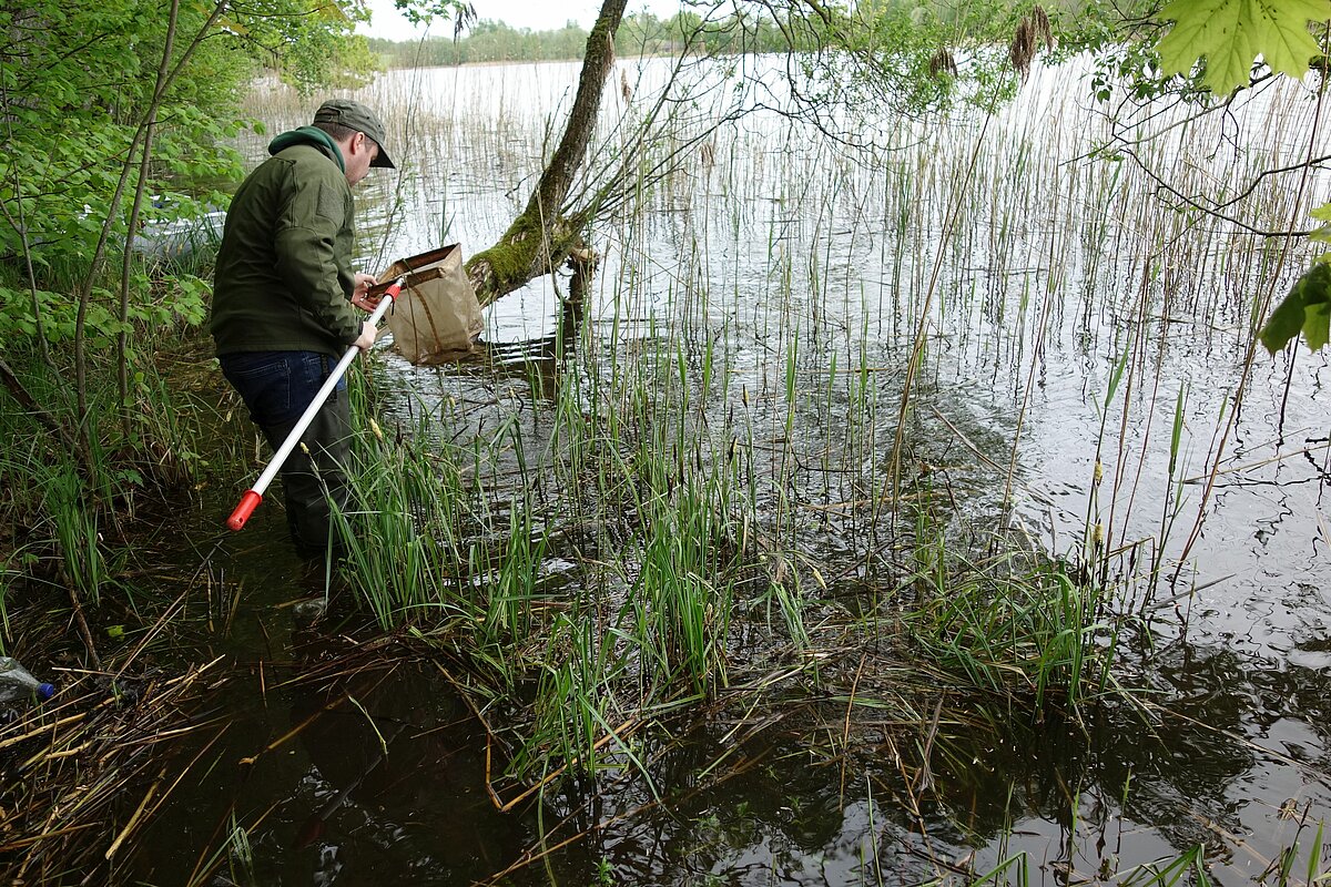 Bioloģijas institūta pētnieks Dāvis Ozoliņš ievāc makrozoobentosa paraugus Garajā (Ilzas) ezerā pavasara sezonā. Foto: Laura Grīnberga