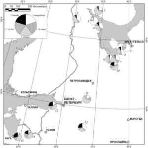 Upespērleņu čaulu morfoloģijas mainība Baltijas un Baltās jūras reģionā. Latvija šeit veido sugas areāla dienvidu robežu. 14. un 15. diagramma kartes apakšā, kreisajā stūrī [2].