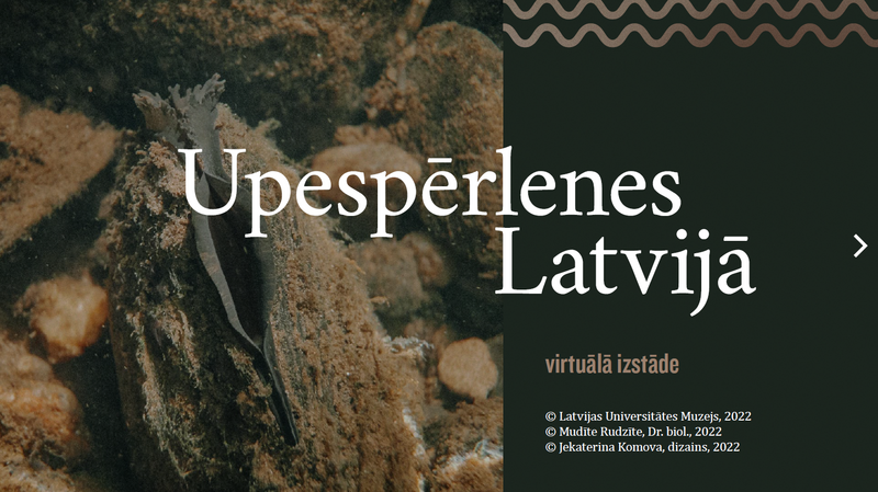 Aicinām apskatīt virtuālo izstādi “Upespērlenes Latvijā”