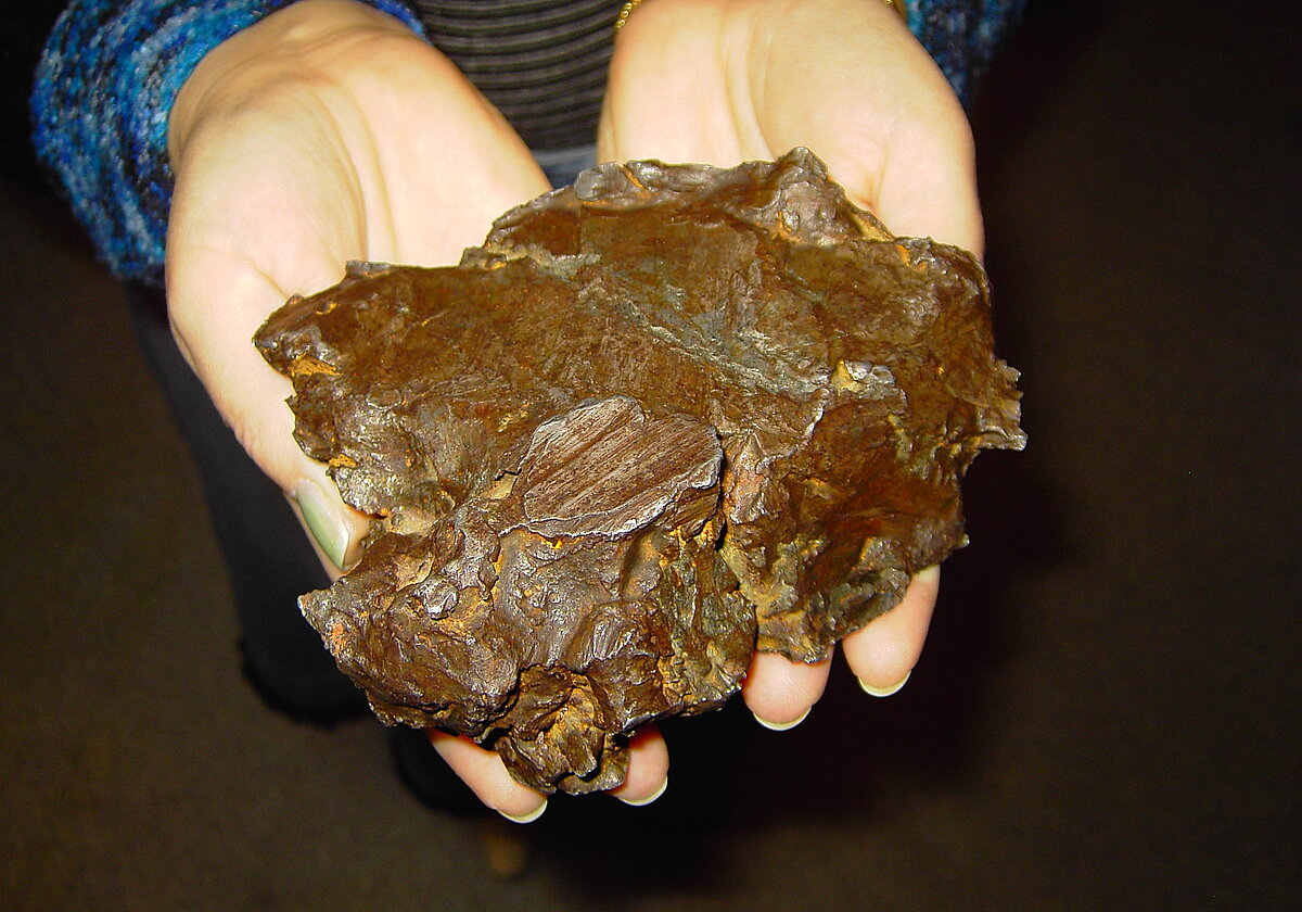 F. Candera un Latvijas astronomijas kolekcijas apmeklētāji var paturēt rokā īstu meteorītu. Foto: Gunta Vilka
