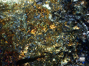 Zeltam vizuāli līdzīgo minerālu pirītu bieži uzskata par tīrradņu zeltu (mikroskopfoto uzņemts ĢZZF laboratorijā, autori: V.Visocka, V.Hodireva).