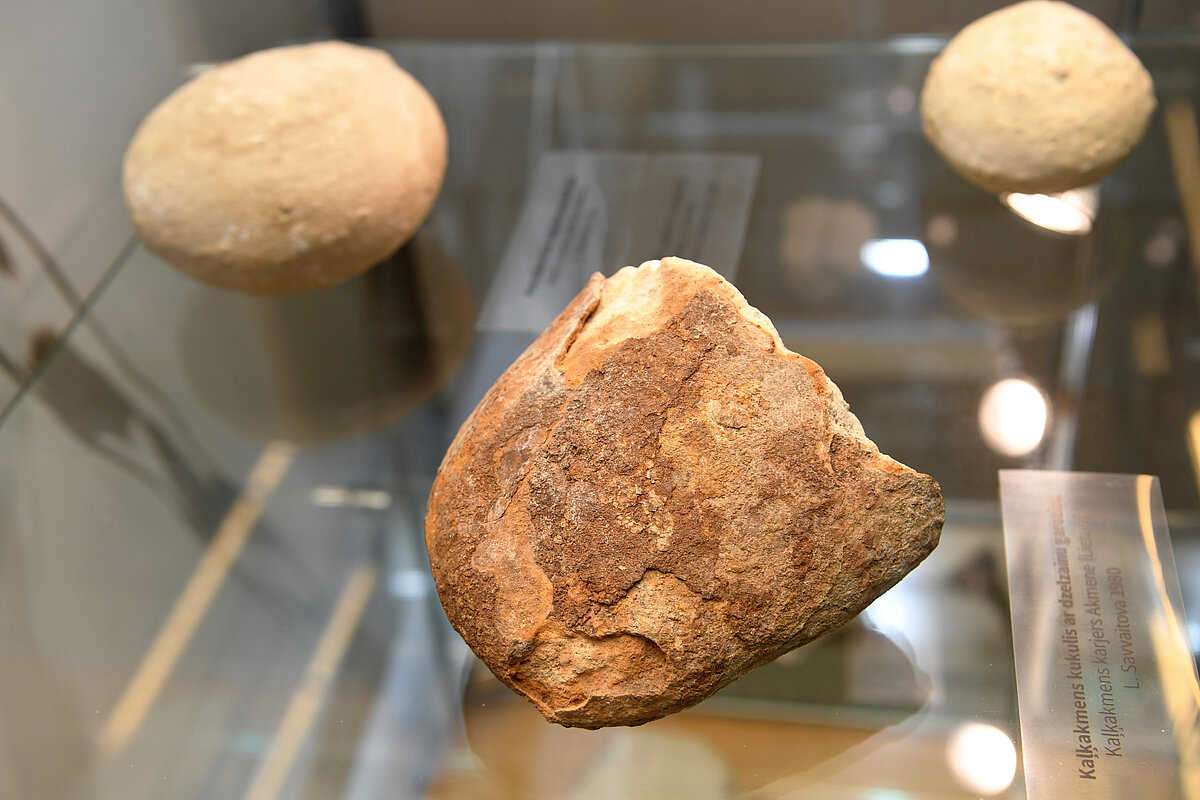 Porcelānveida kaļķakmens kukuļi no perma periodā veidojušās karbonātiežu slāņkopas. Iežu paraugi no Latvijas Universtātes Muzeja Ģeoloģijas kolekciju krājuma. Foto: S. Livdāne