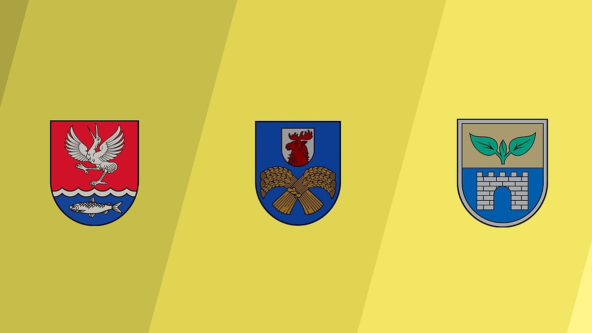 Ar LU fonda administratīvu atbalstu tiek piešķirtas Engures, Jelgavas un Salaspils novada pašvaldības stipendijas.