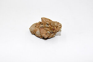 Bānūžu grants karjerā ievākts konglomerāta paraugs. Foto: LU Muzeja krājums, Sarmīte Livdāne