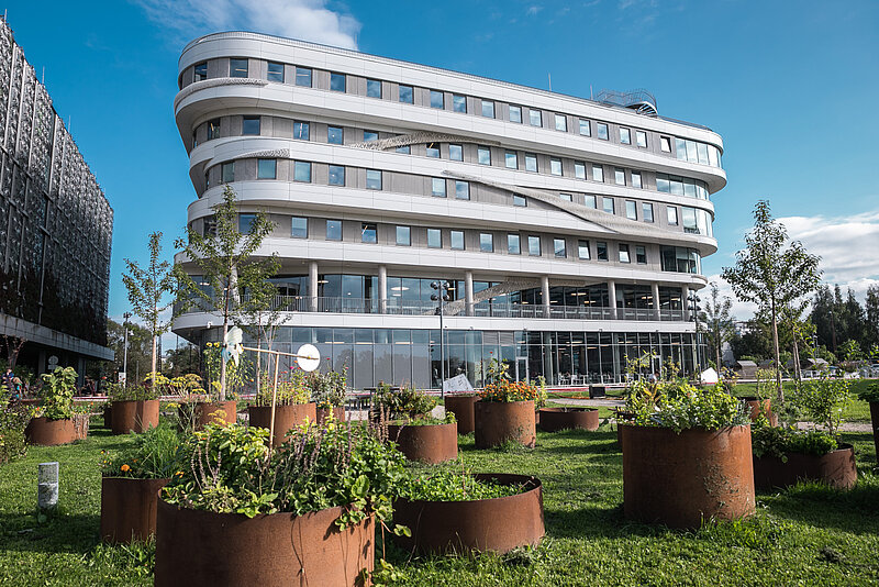 Atklāta pieteikšanās dobēm LU Kopienas dārzā 