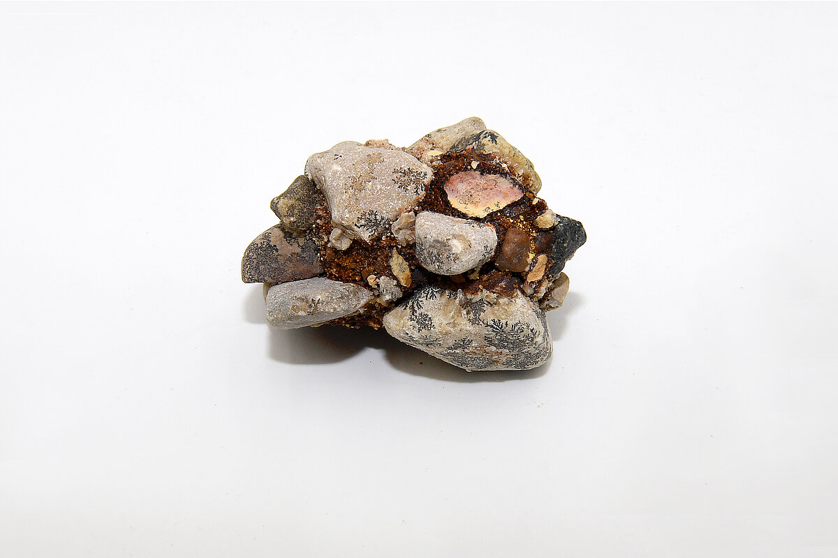 Medņu grants karjerā, Laidzu karjerā vai Brežģa kalna karjerā ievākts konglomerāta paraugs. Foto: LU Muzeja krājums, Sarmīte Livdāne Medņu grants karjerā, Laidzu karjerā vai Brežģa kalna karjerā ievākts konglomerāta paraugs. Foto: LU Muzeja krājums, Sarmīte Livdāne