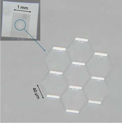 Mikroskopa attēls dimanta paraugam ar izgatavotām nanopīlāru struktūrām ar NV centriem aizsargājoša sešstūraina raksta iekšienē, 4x palielinājums, viena sešstūra malas garums ir 40 μm, attālums starp atsevišķiem nanopīlāriem ir 2 μm.