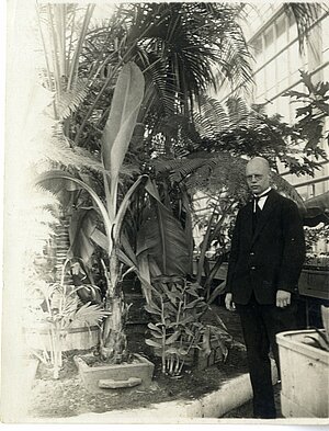 A. Zāmelis LU Botāniskā dārza palmu mājā. Fotogrāfs nezināms, 20. gs. 20. -30. gadi. LU Muzeja krājums (kopija)