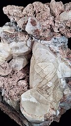 Lielākais pašlaik Latvijā atrastais kalcīta kristāls (7 cm garš) ar mikroplaisu tīklu uz virsmas, kas iezīmē iespējamos, simetrijai atbilstošos minerāla skaldīšanās virzienus. Foto: V. Hodireva