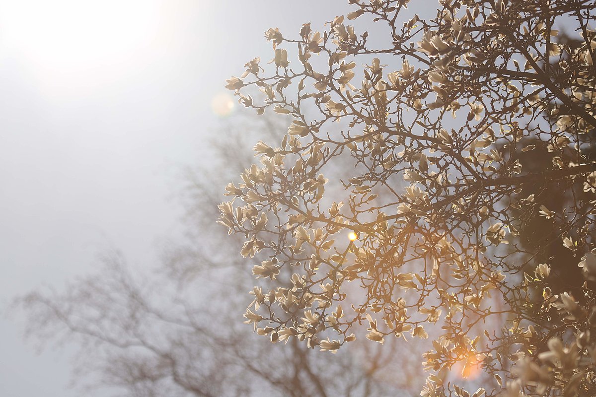 Foto: Krišjānis Libauers
