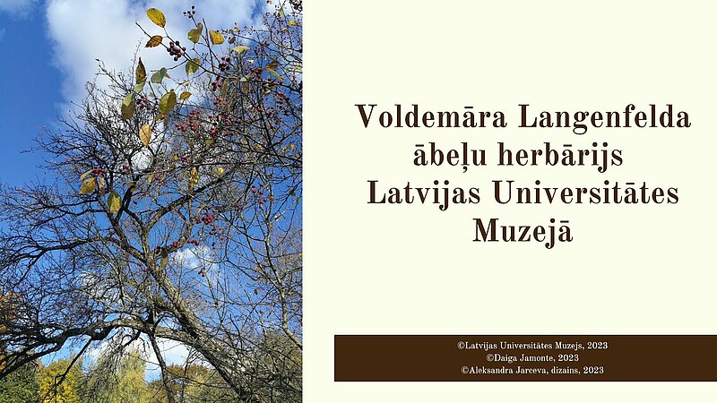 Virtuālā izstāde “Voldemāra Langenfelda ābeļu herbārijs Latvijas Universitātes Muzejā”