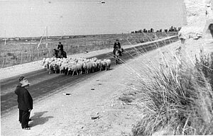 1962. gads, Jānis Lūsis Čolpanatā, Čon-Urjukti. Foto no LU Muzeja krājuma.