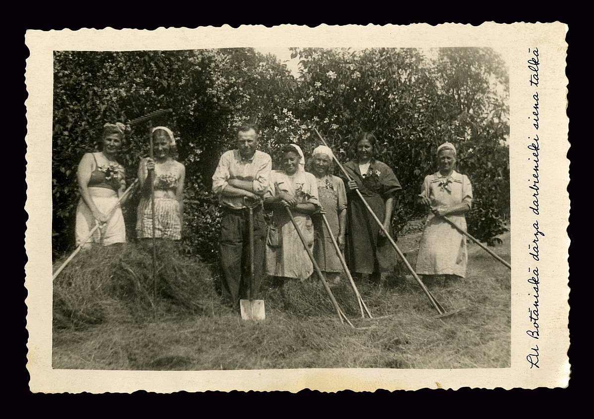 1950. gadā
