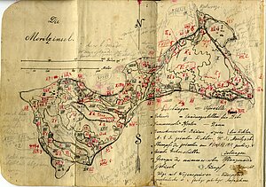 Moricsalas karte K. R. Kupfera Moricsalas piezīmju grāmatiņā ar K. R. Kupfera K. R. Kupfera piešķirtajiem veģetācijas apgabalu apzīmējumiem un piezīmēm. LU Muzeja krājums