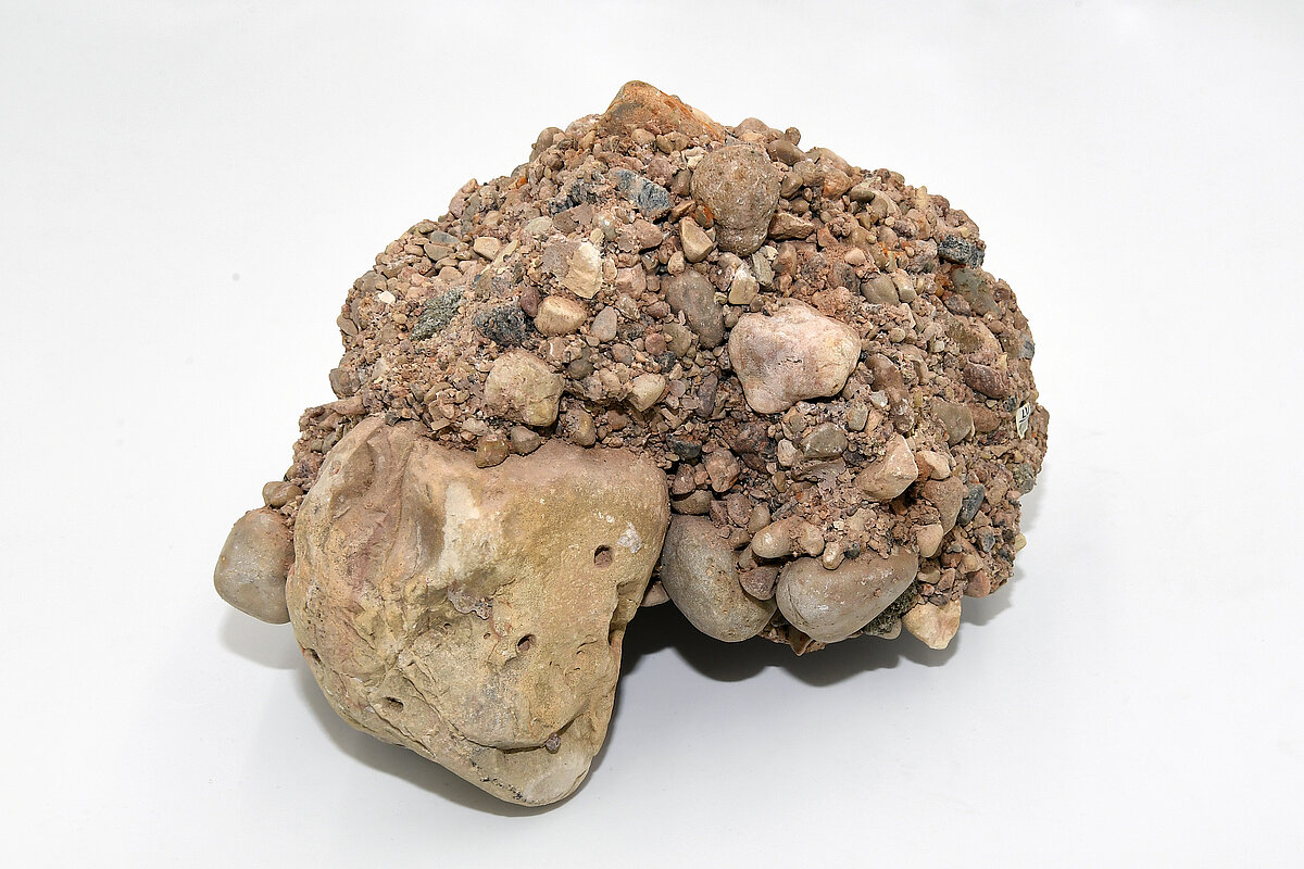 Ogres jeb Mazajos Kangaros pie Ikšķiles, Dubkalnu karjerā ievākts konglomerāta paraugs. Foto: LU Muzeja krājums, Sarmīte Livdāne Ogres jeb Mazajos Kangaros pie Ikšķiles, Dubkalnu karjerā ievākts konglomerāta paraugs. Foto: LU Muzeja krājums, Sarmīte Livdāne