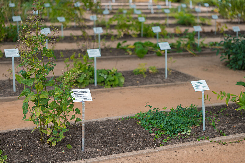 Pēc 20 gadu pārtraukuma Latvijā izdota jauna Sarkanā grāmata par retām, apdraudētām un izzudušām sugām