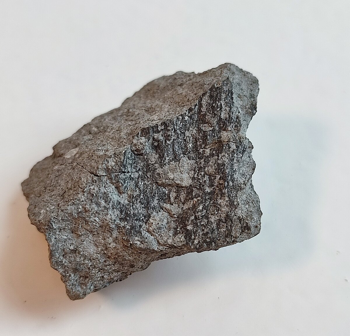 Meteorīts Knjaginja Latvijas Universitātes Muzeja kolekcijā. Foto: Gunta Vilka Meteorīts Knjaginja Latvijas Universitātes Muzeja kolekcijā. Foto: Gunta Vilka