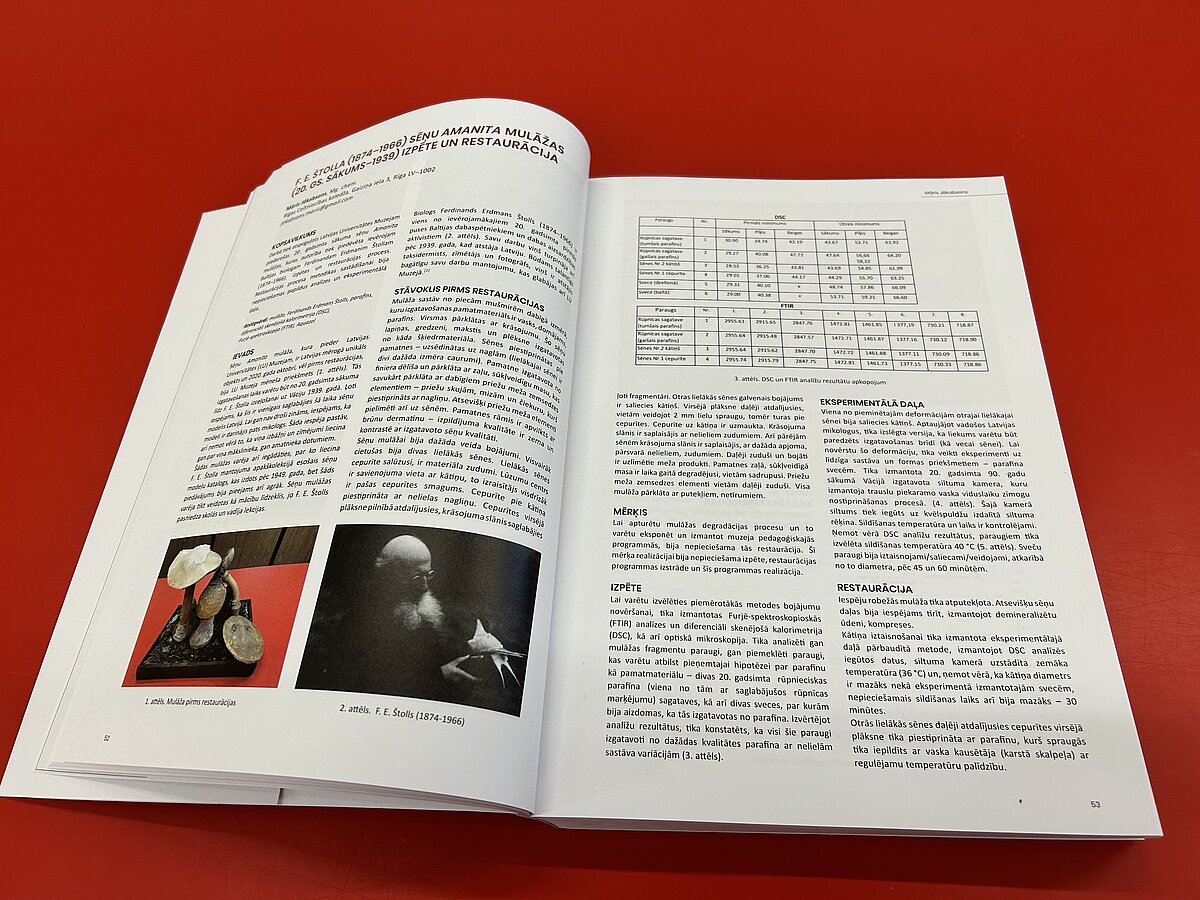 M. Jēkabsona raksta atvērums grāmatā "13. Baltijas valstu restauratoru triennālē "Pārmaiņas, izaicinājumi un sasniegumi" M. Jēkabsona raksta atvērums grāmatā "13. Baltijas valstu restauratoru triennālē "Pārmaiņas, izaicinājumi un sasniegumi"