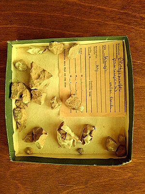 V. Grāvīša ievākts paleontoloģiskais materiāls: kartona kastīte ar pleckāja "Platyspirifer pakruojensis" fosilijām; daži gabali salīmēti kopā ar leikoplastu