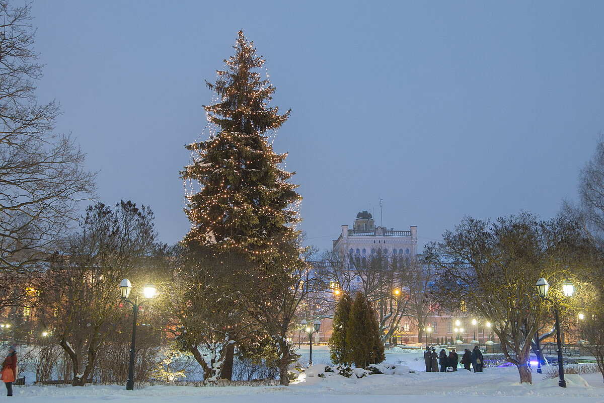 © Foto: Toms Grīnbergs, Latvijas Universitātes Komunikācijas un inovāciju departaments