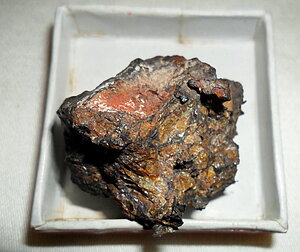 Brenhemas meteorīts no Frīdriha Candera un Latvijas astronomijas kolekcijas. Foto: G. Vilka