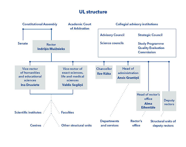 University structure