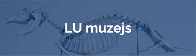LU Muzejs