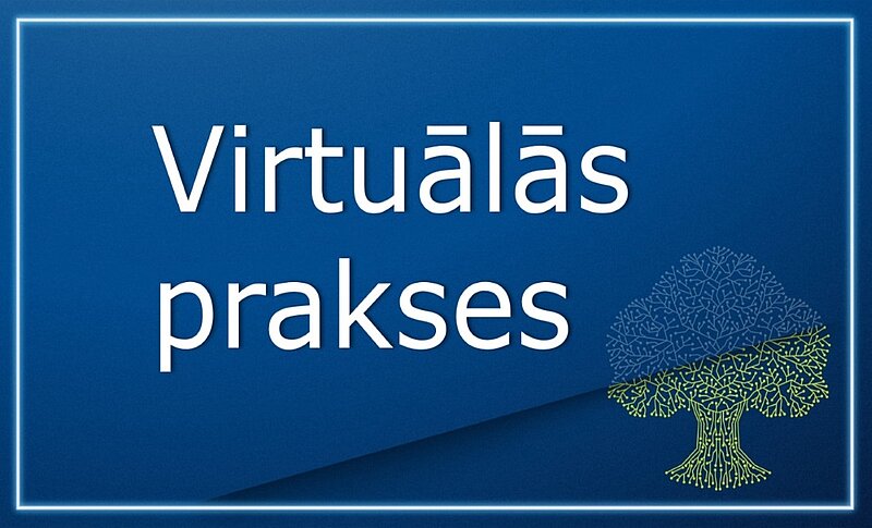Virtuālās prakses un digitālās prasmes – Inovāciju pēcpusdienas diskusijā