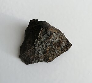 L’Aigle meteorīts LU Muzeja ekspozīcijā. Foto: Gunta Vilka