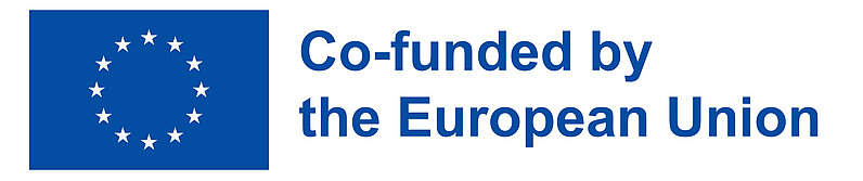 European Union flag with the inscription "Co-funded by the European Union"