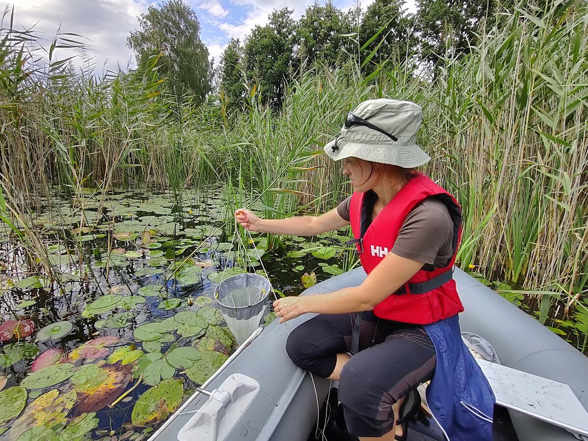 Bioloģijas institūta pētniece pēta ezera ūdeņu iemītniekus