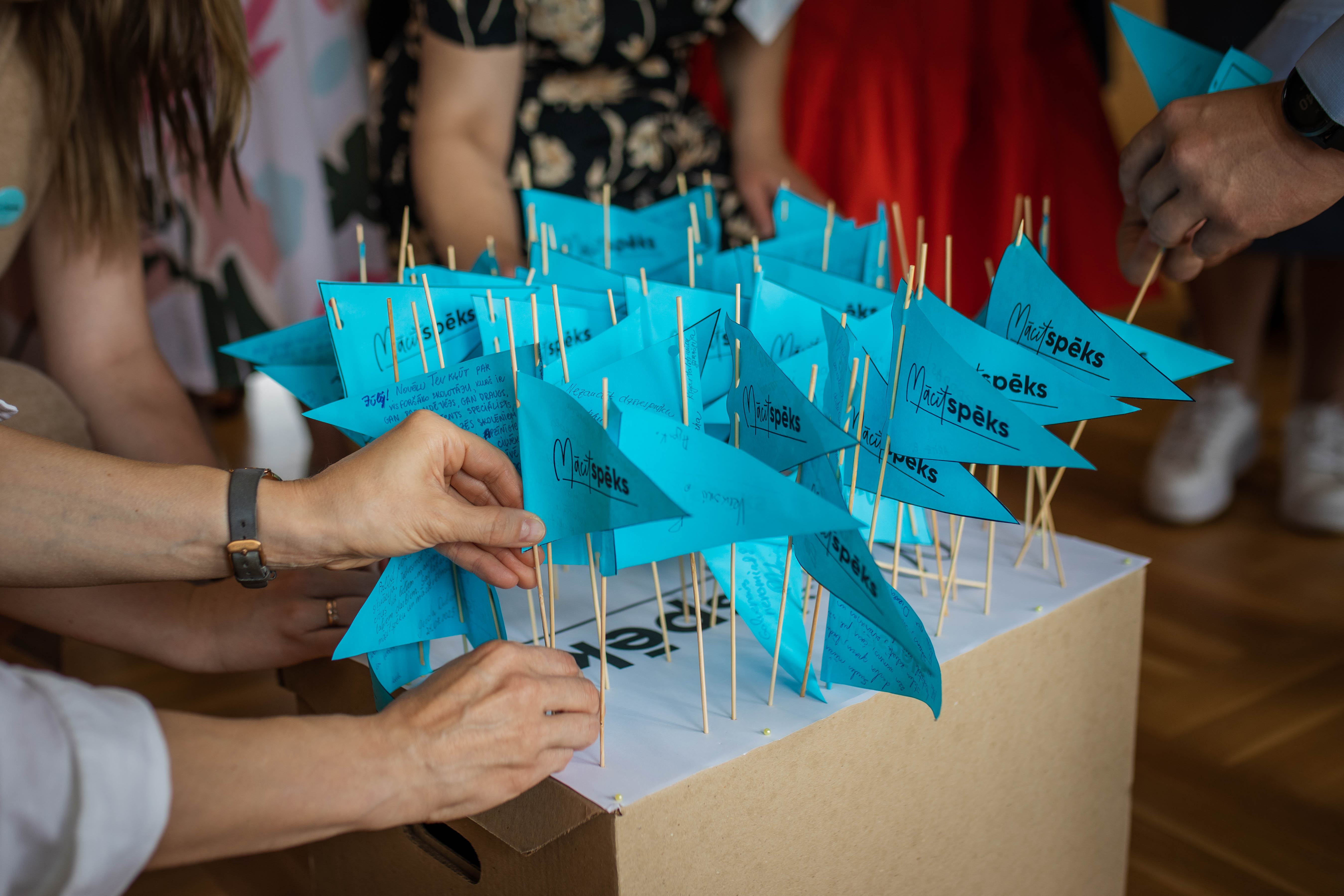Projekta "Mācītspēks" karodziņi