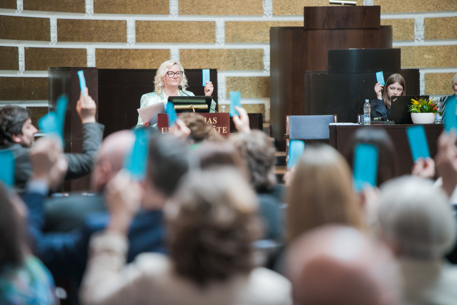 Cilvēku grupa pacēlusi balsošanas mandātus zilā krāsā