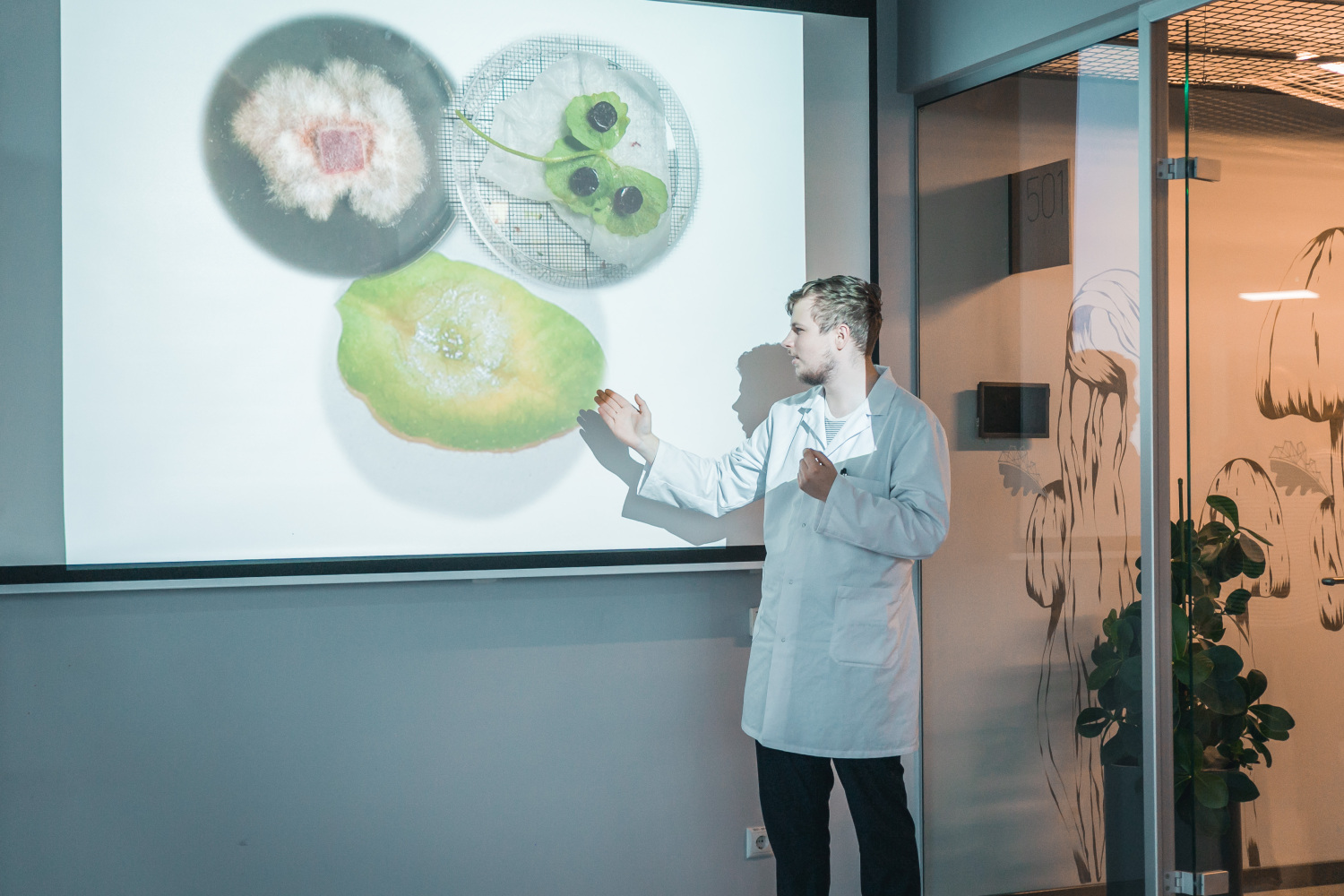 Persona baltā laboratorijas halātā stāv pie ekrāna un ar roku norāda uz attēlu, kurā redzami trīs dažādi objekti – divas apaļas Petri trauku kultūras ar augiem un sēnēm, kā arī viena lielāka zaļa lapas vai augļa virsma ar baltu plankumu.